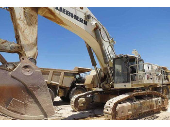 Excavator LIEBHERR