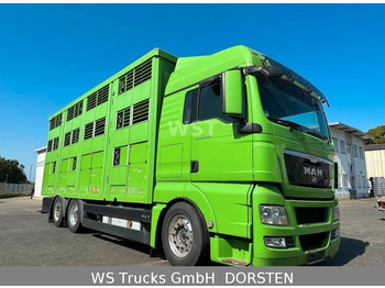 Livestock truck MAN TGX 26.480