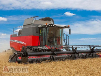 Combine harvester MASSEY FERGUSON