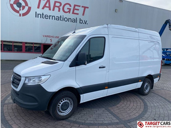 Panel van MERCEDES-BENZ Sprinter 319