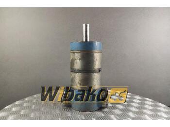 Hydraulic motor