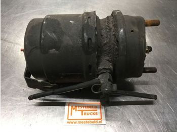 Brake cylinder DAF