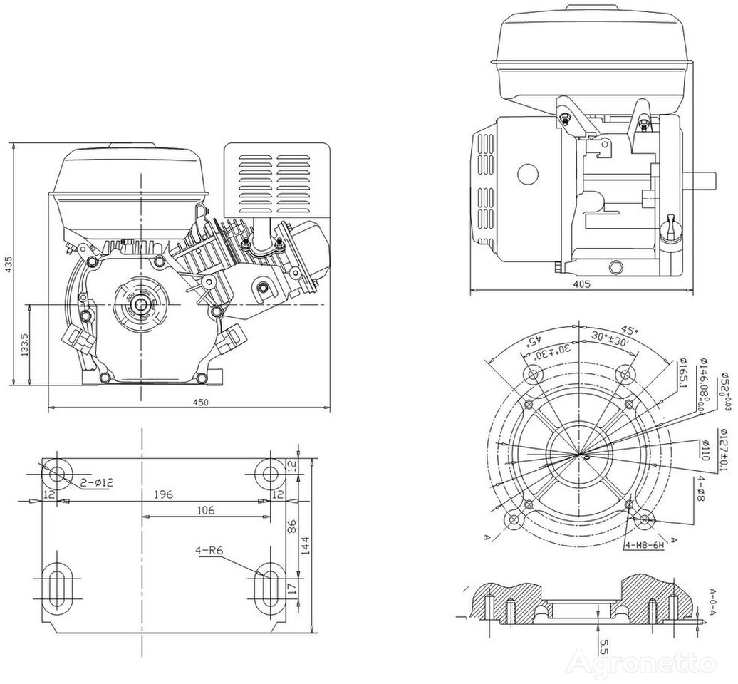 New Engine for Cultivator Grünwelt GW460E 4260614710337  for cultivator: picture 12