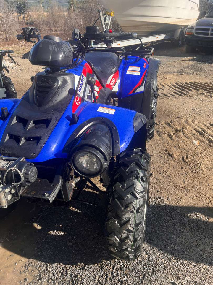 Side-by-side/ ATV 2011 Andre Linhai 300 traktor registrert: picture 1