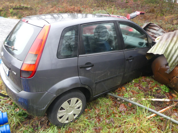 Car Voiture Ford FIESTA: picture 8