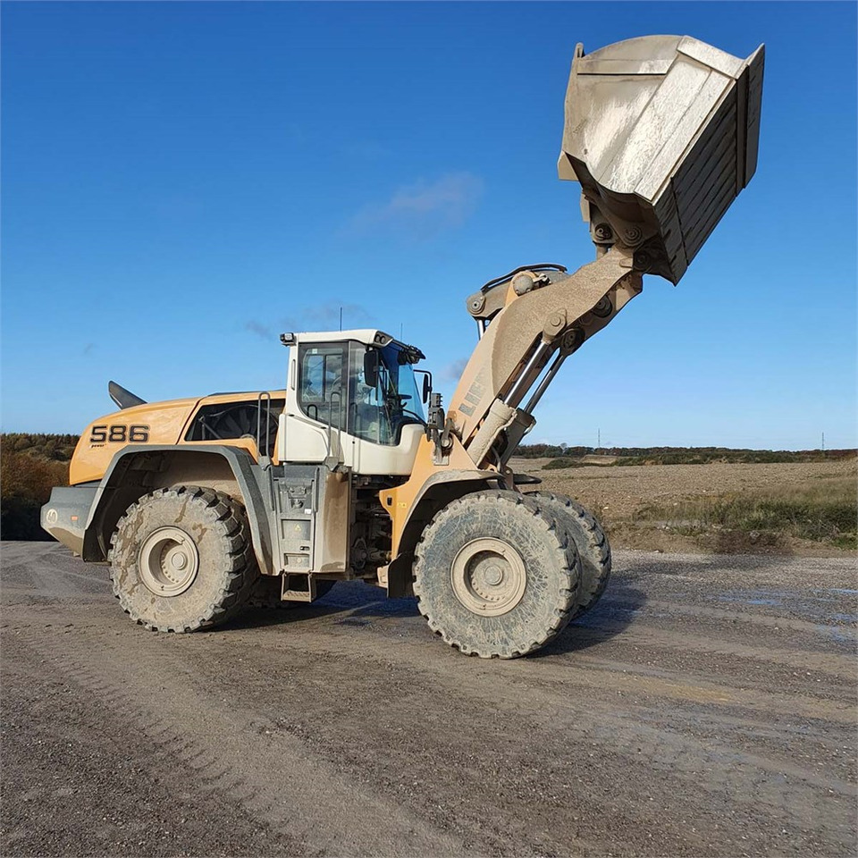 Wheel loader Liebherr L586 XPower: picture 14